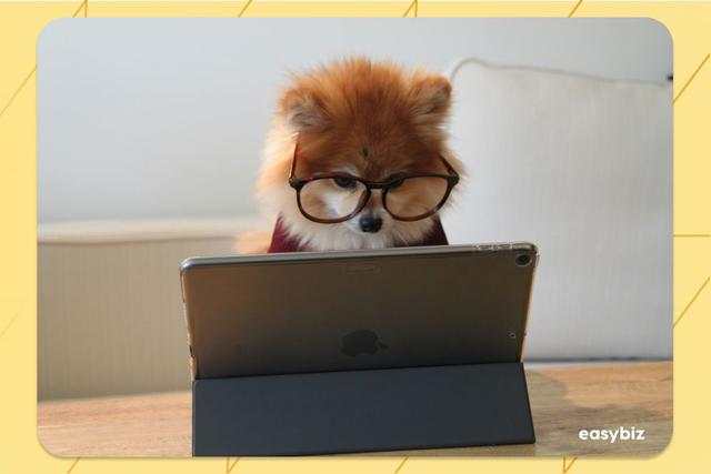 Finding the perfect accountant for your small business